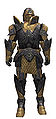 Warrior Elite Platemail armor m.jpg